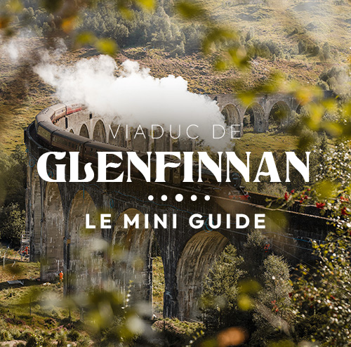 Ton guide OFFERT